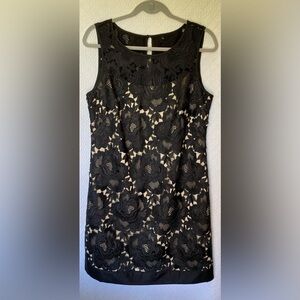 White House & Black Market Women’s Sleeveless Black Lace Sheath Dress